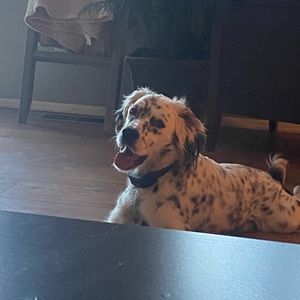 Meet your Posher, Robert